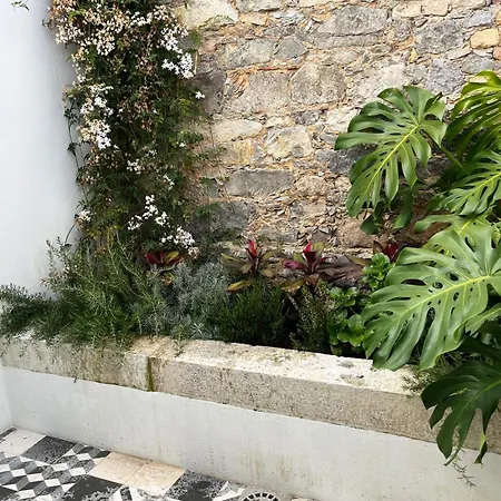 Apartamento New! Stylish Portuguese Soul Retreat In Belem 4p *