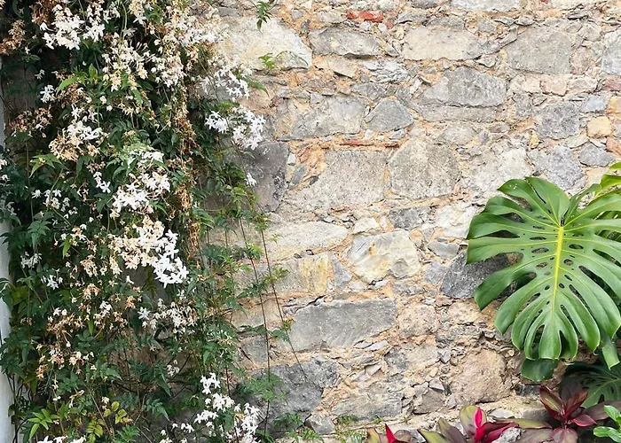 New! Stylish Portuguese Soul Retreat In Belem 4p Apartamento