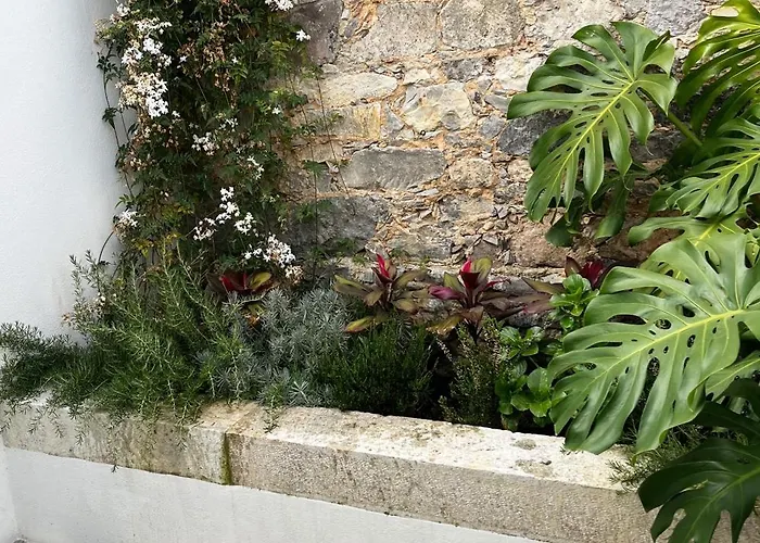 Apartamento New! Stylish Portuguese Soul Retreat In Belem 4p *